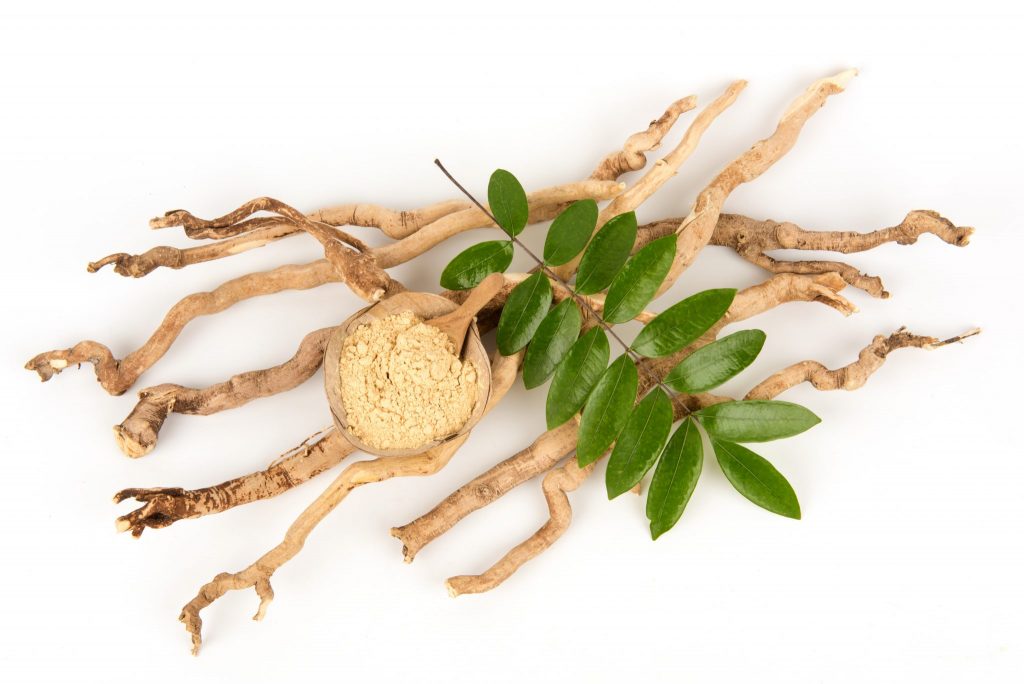 Principe actif : Les quassinoides (racine) Les vertus de Tongkat ali : anti malaria, aphrodisiaque, antidiabétique antimicrobienne et antipyrétique.